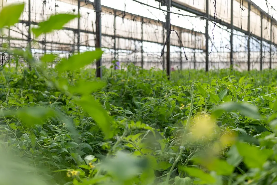 宿迁腻子喷涂机选型指南：从施工效率到设备维护全解析
